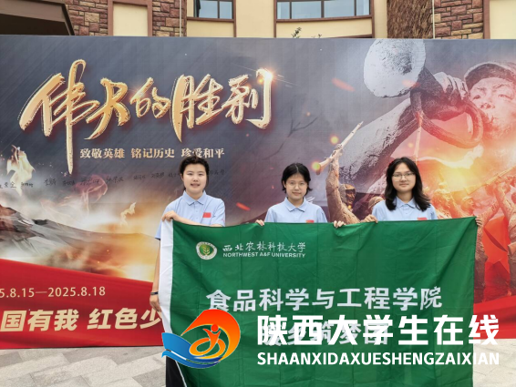 1757845455197259.png image.png